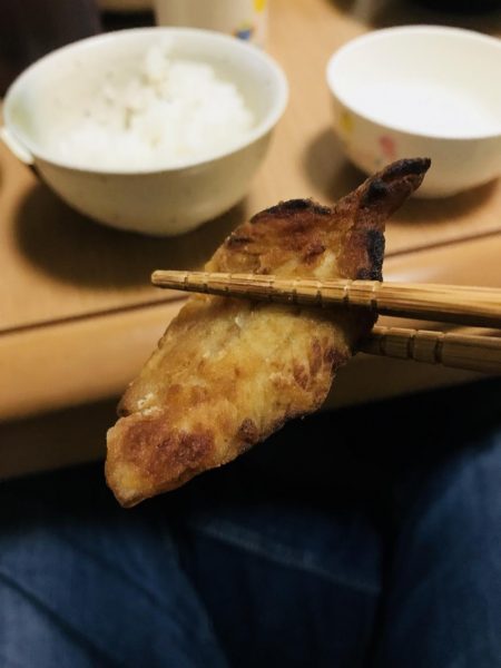 朝マヅメリベンジ